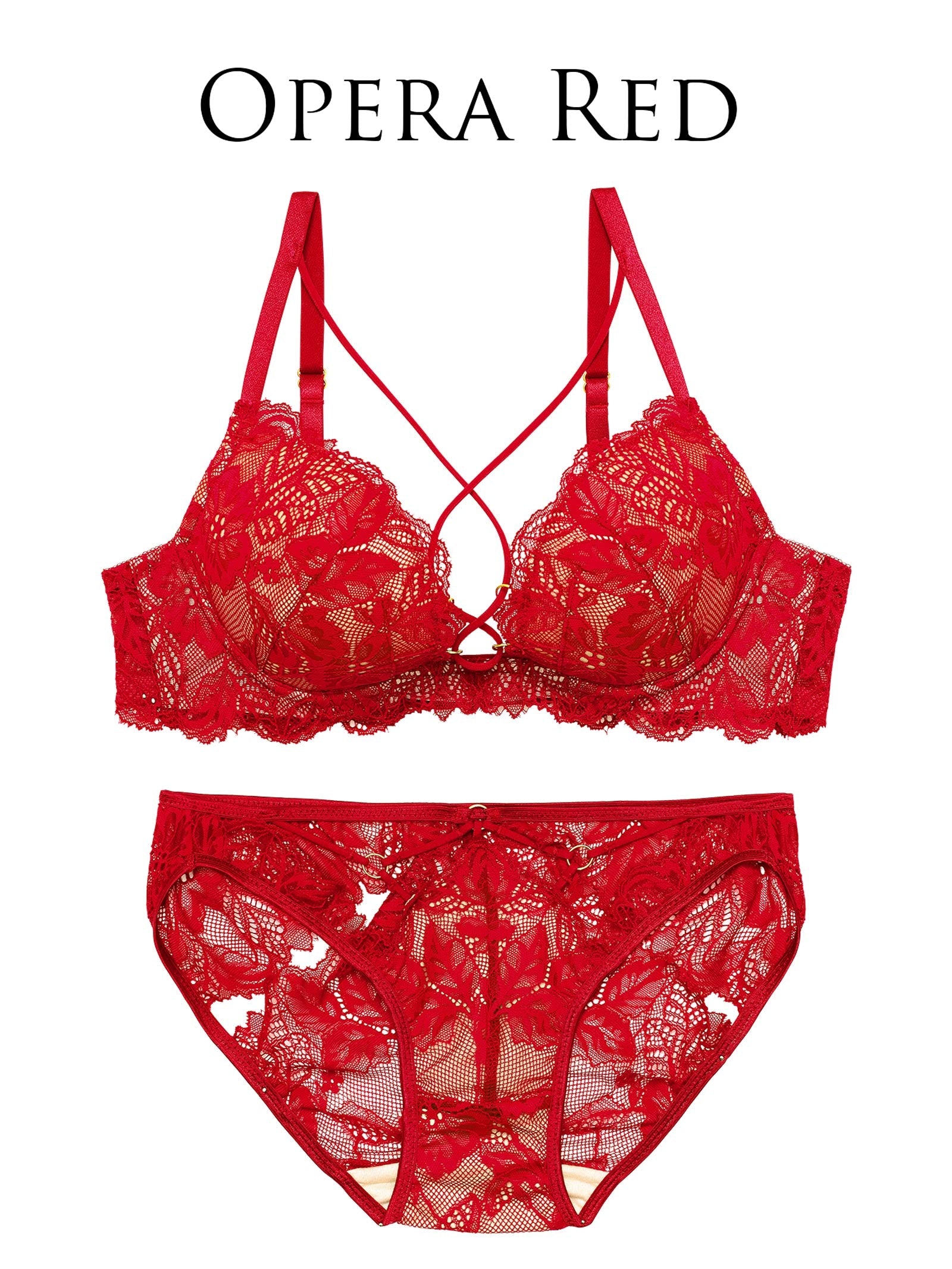 12/18新作!【Reinest】ボタニカルグラマーレースブラジャー&バック透けフルバックショーツ