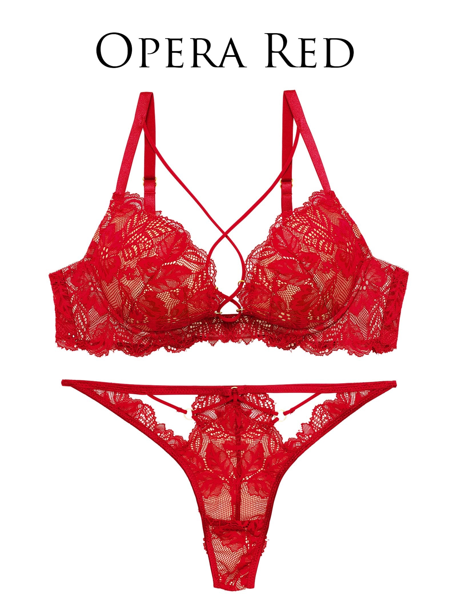 12/18新作!【Reinest】ボタニカルグラマーレースブラジャー&バック透けTバックショーツ