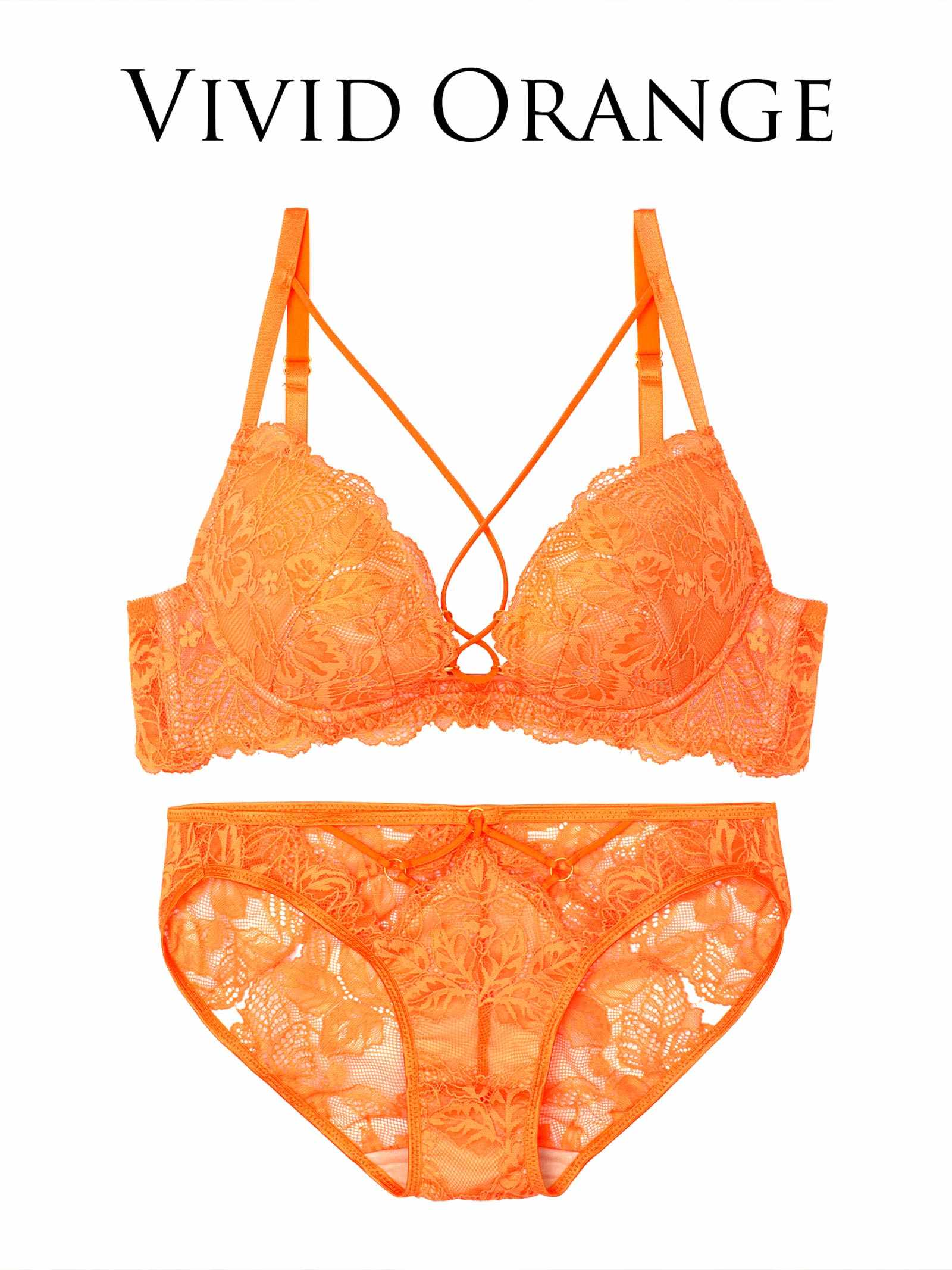 12/18再販!スピンドルレーシィカットブラジャー&バック透けフルバックショーツ