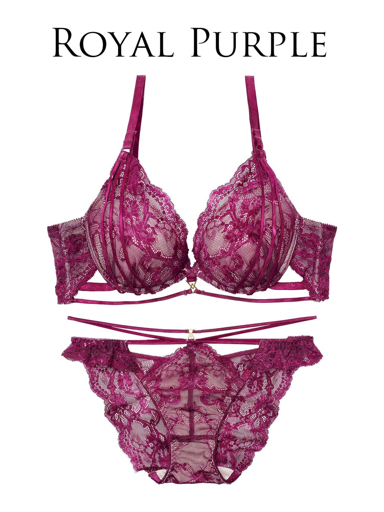 2/4新作!センシュアルレーシィコードブラジャー&amp;バック透けフルバックショーツ