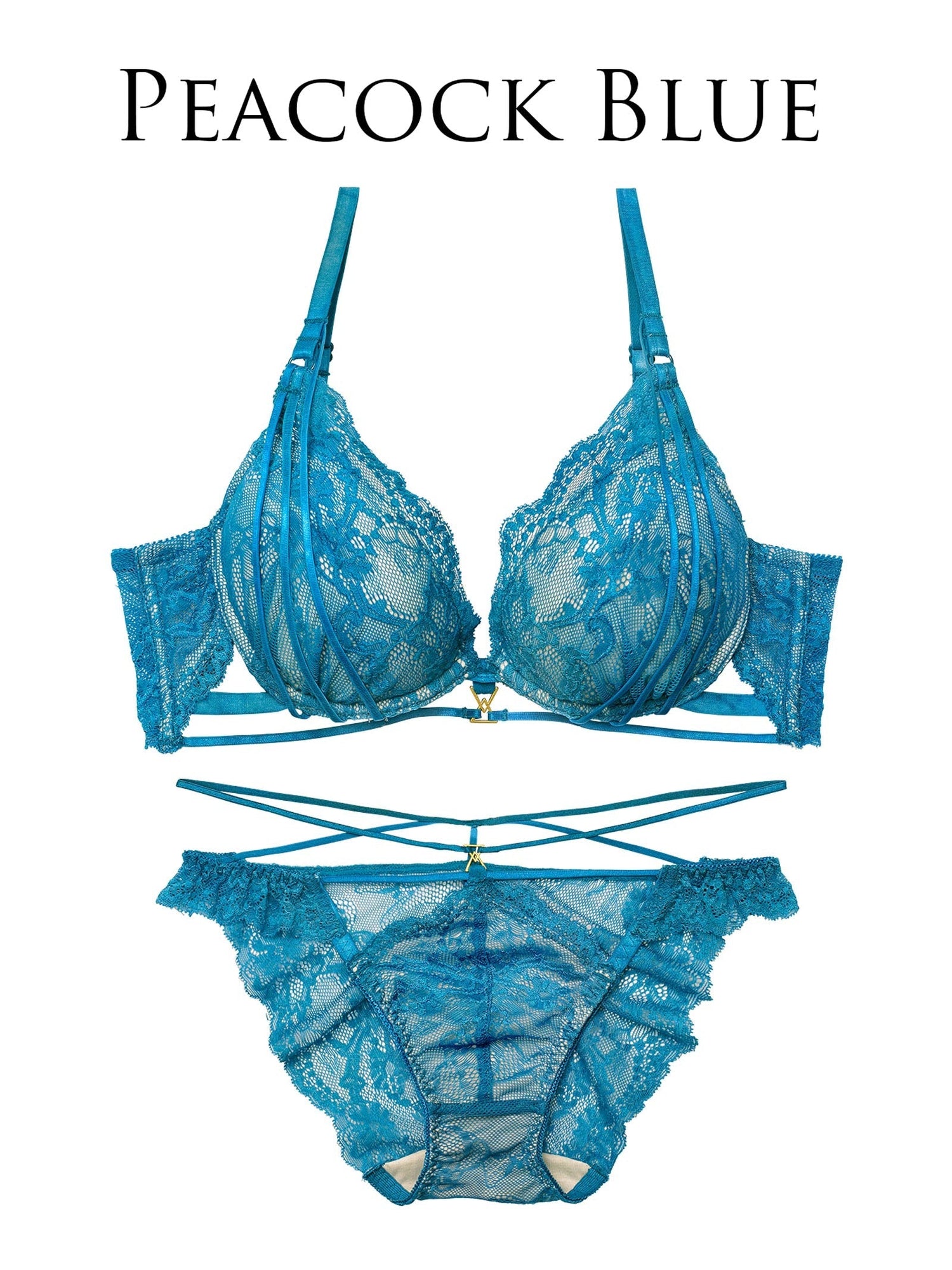 2/4新作!センシュアルレーシィコードブラジャー&amp;バック透けフルバックショーツ