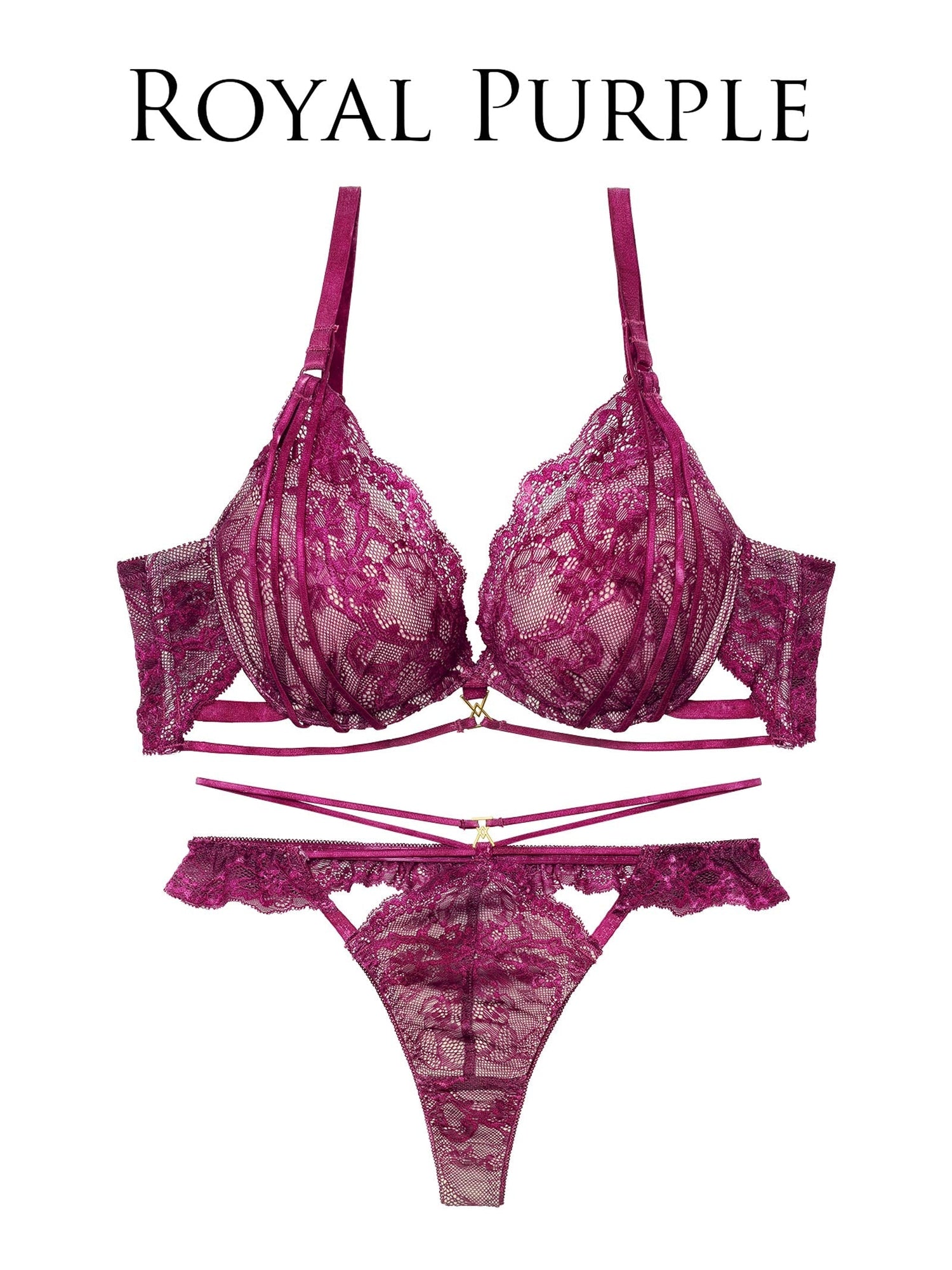 2/4新作!センシュアルレーシィコードブラジャー&amp;バック透けTバックショーツ