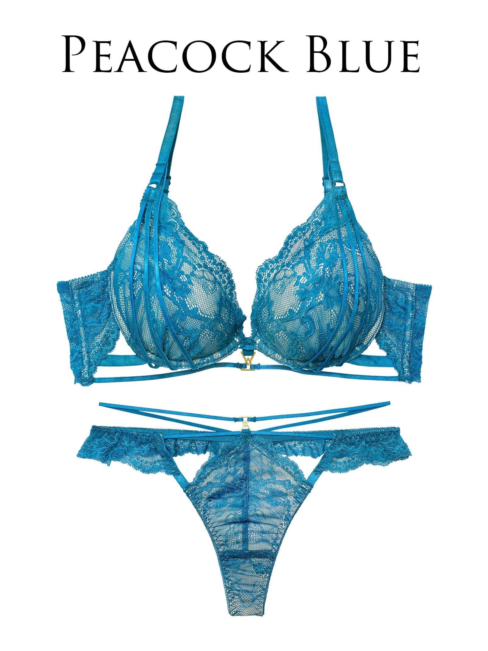 2/4新作!センシュアルレーシィコードブラジャー&amp;バック透けTバックショーツ